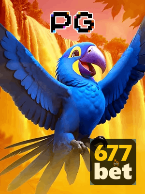 677BET bônus — cashback 15 por cento e níveis VIP