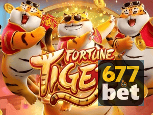 Guia install APK 677BET BR