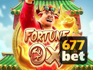 677BET login — painel de entrada no app oficial