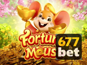 677BET login — configurações de segurança e proteção de conta